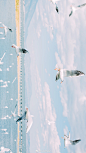 在洱海边，遇见。 ​​​​