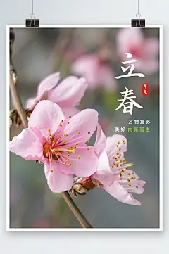 简约立春摄影图海报