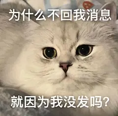 表情包_05