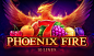 Slot game.PHOENIX FIRE