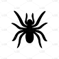蜘蛛狼蛛黑色的剪影孤立在白色的背景