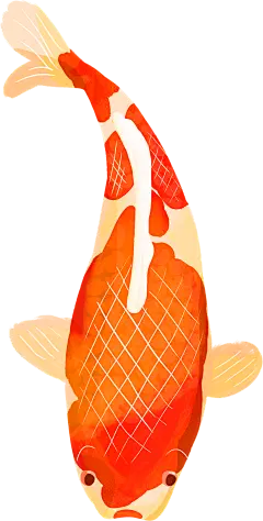 卡通手绘水墨鲤鱼锦鲤 png
