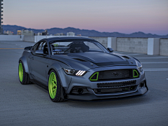 最帅的鳗鱼采集到Little Mustang
