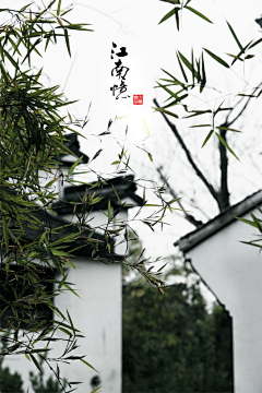 初衷♡采集到中国风