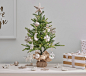 My First Winter White Christmas Tree | Pottery Barn Kids