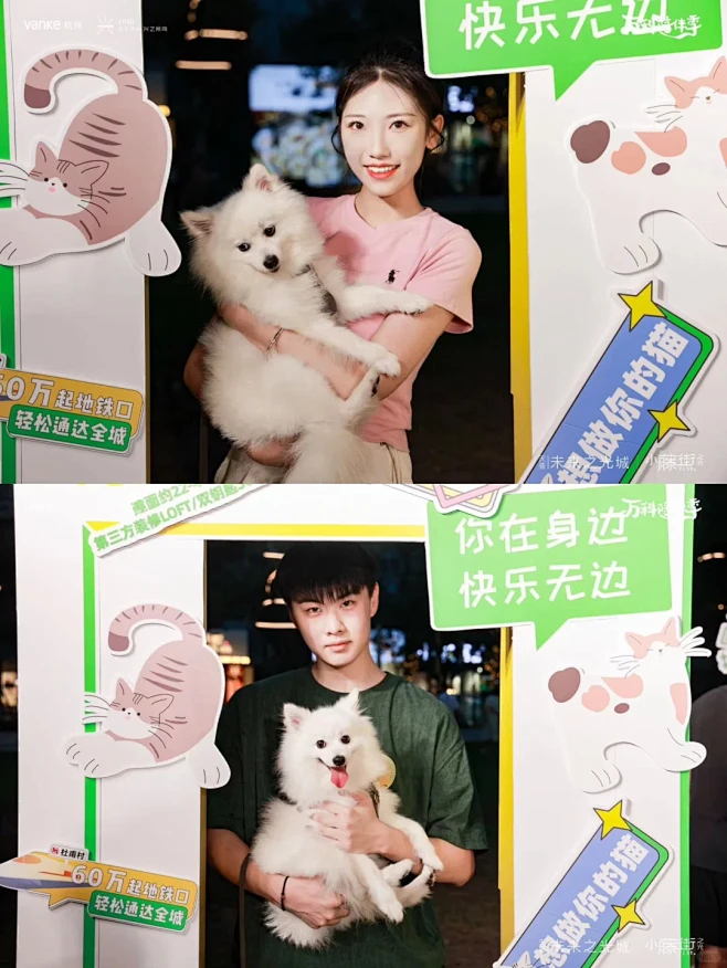 案例|小区夏日宠物运动会看毛孩子们跨栏