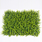 仿真植物墙绿化墙体仿真草坪地毯草皮阳台绿植装饰绿色植物背景墙-tmall.com天猫
