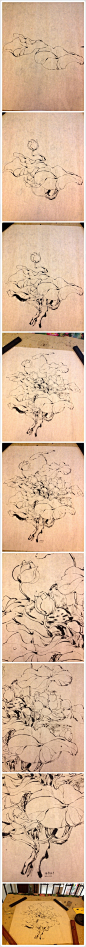 荷花绘画过程-小枣子_小枣子，手绘，黑白，线稿，插画_涂鸦王国插画