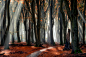 Autumn : Colourful autumn