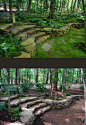 A fantastically thorough article about different types of moss and how to grow them in your own landscape. So much information!: 