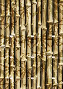 竹 棒 竹子 竹竿 壁纸 模板 结构体 Iphone壁纸 竹