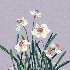 吃货归来采集到植物插画
