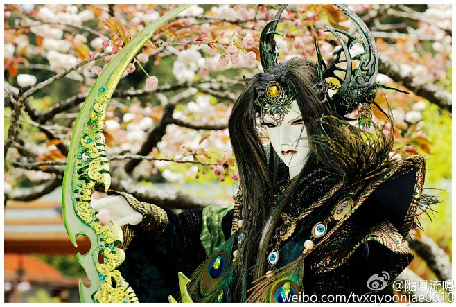 君权神授霹雳布袋戏虚拟人物