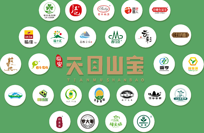 天目山宝部分授权企业logo