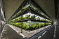 雅各布工厂，垂直植物墙 / G8A Architects + rollimarchini architects – mooool木藕设计网