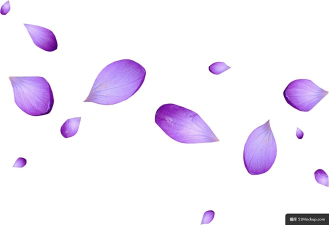 紫色花瓣模板免扣png