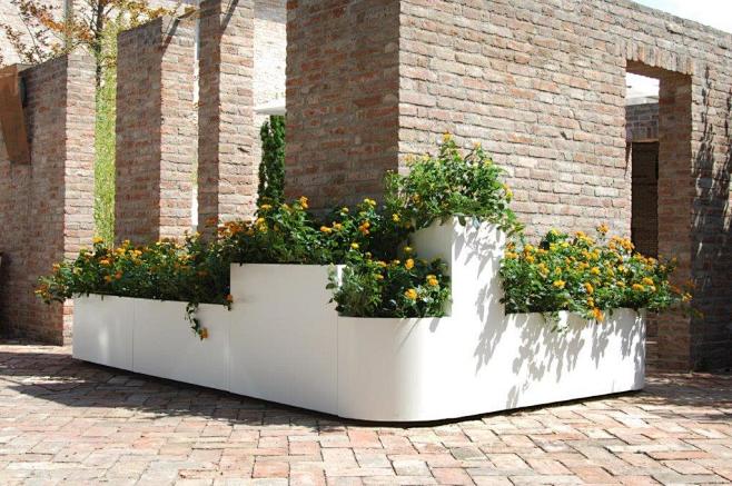 Collezione A - BLOSS