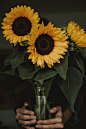 pexels-lil-artsy-1390433