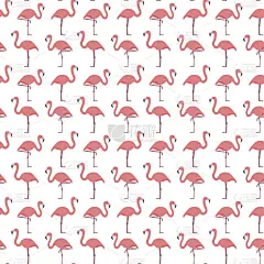 无缝的火烈鸟模式