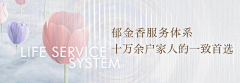 上上宾采集到(武汉天地)微信公众号标题