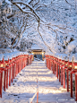 ❄️京都雪景❄️这辈子总要去一次吧❗️