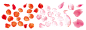 花瓣 png