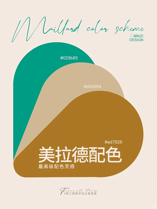 配色分享 | 高级感配色美拉德-花瓣网