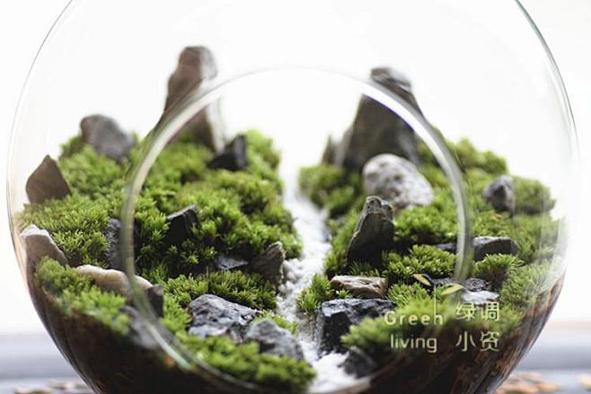 苔藓瓶-自然系列 L-山谷 大号苔藓生态...