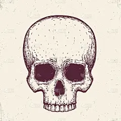 人类头骨，手绘矢量图