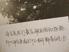 稔知咎采集到Script. 文字