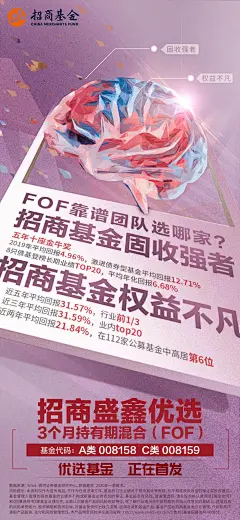 招商基金 盛鑫优选 FOF 大脑