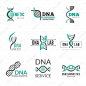 Dna 标志。 基因科学符号螺旋生物技术载体商业身份高级矢量