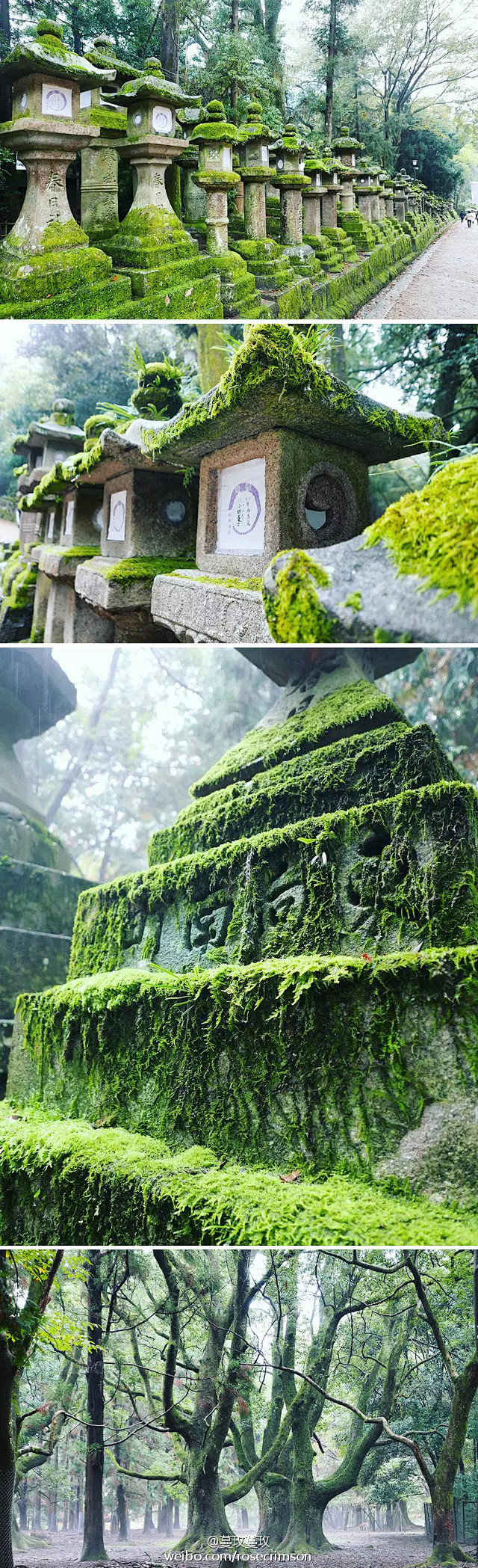 印象里几个日本城市都是有颜色的。奈良是浓...