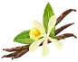 c403377d467c30b2eda9f11d47ed60f4