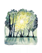 清新水彩画 手绘 树木 光影折射 自然风景 清新淡雅 唯美插画