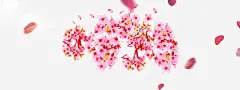 桃花玫瑰漂浮物免抠素材 平面电商 创意素材 png素材