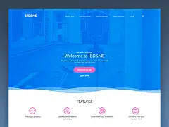 Website design