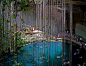 Amazing ✈ World / Cenote Ik Kil, México