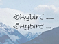 Skybird Rough：疯狂的字体_手写字体字体设计 - 搜优网(SooUI)