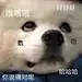 我改还不成吗