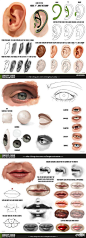技术贴！来自画师ConceptCookie的五官绘画教程，关于耳眼唇的描述技法。更多精彩绘画教程大合集，赶紧来收图→http://t.cn/zQDGPKR