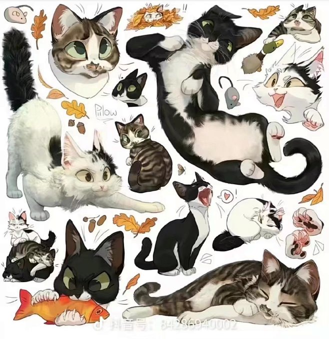 猫
