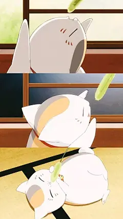 猫咪老师的搜索结果_360图片