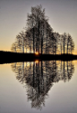 20 Amazing Reflections on Water