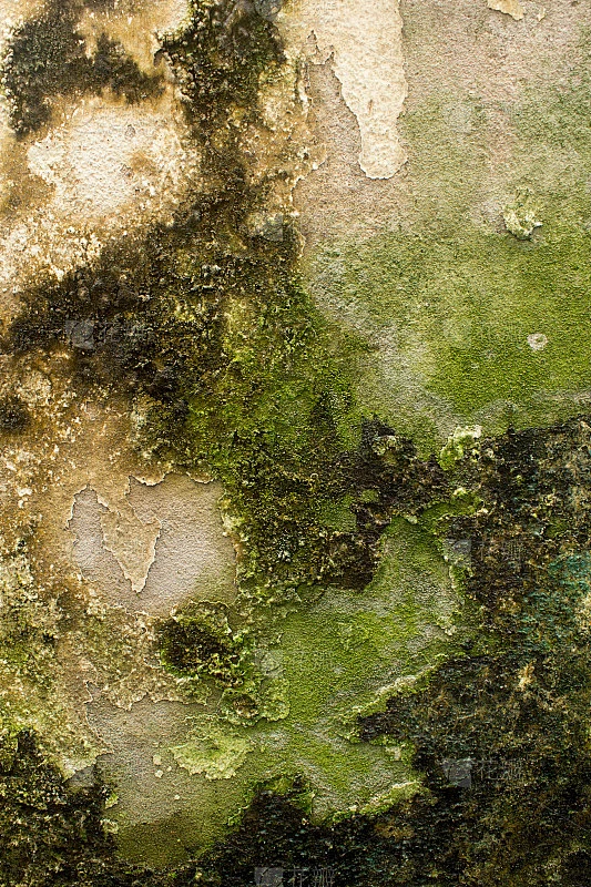 枯燥乏味的背景墙素材-花瓣网