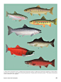 世界鱼类图鉴