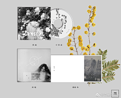 歌词本-花瓣网|陪你做生活的设计师 | 饭圈设计 | CD歌词本