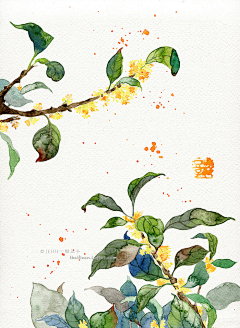 木槿物语ss采集到插画2