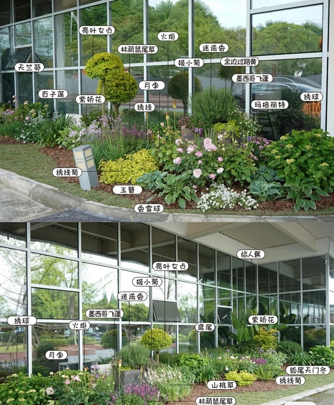 植物配置实景 (76)-花瓣网