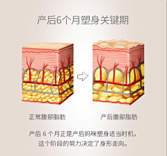 蒲龙long采集到参考-女性塑身